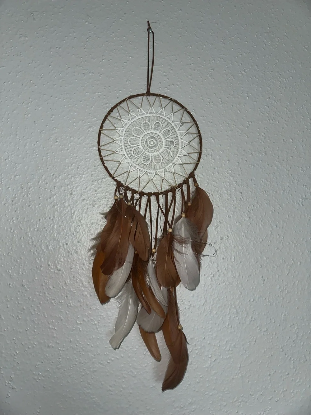 Bohemian Brown and White Dreamcatcher Wall Decor
